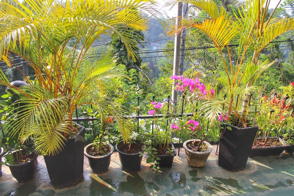 Yes Paradise Kandy Bagian luar foto